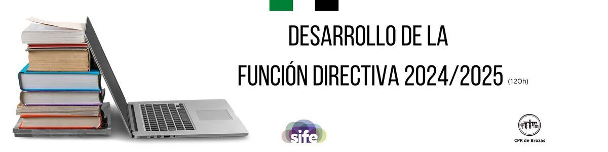 Función directiva